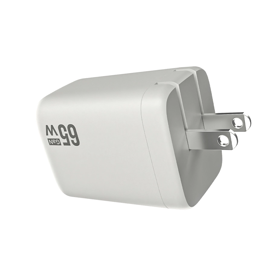 30W Multivolt Charger