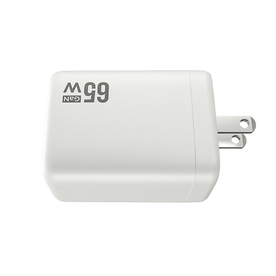 30W Multivolt Charger